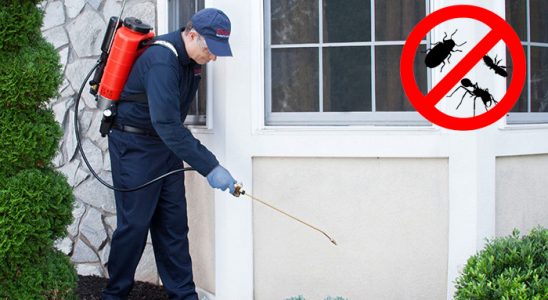 Çanakçı Kene İlaçlama böcek ilaçlama ve haşere kontrolü — ilaclama-tr.com